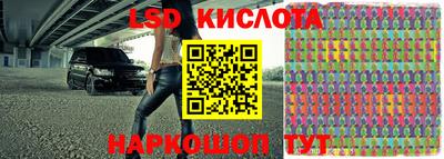 спайс Малгобек
