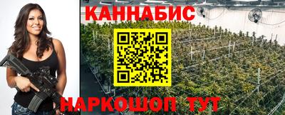 спайс Малгобек