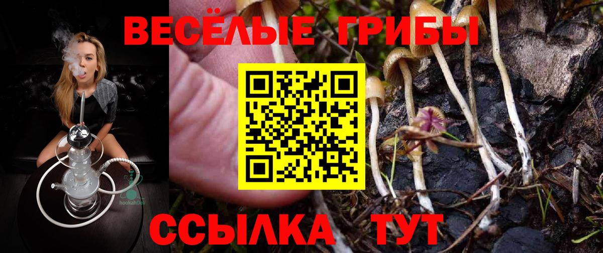 Галлюциногенные грибы прущие грибы Серпухов