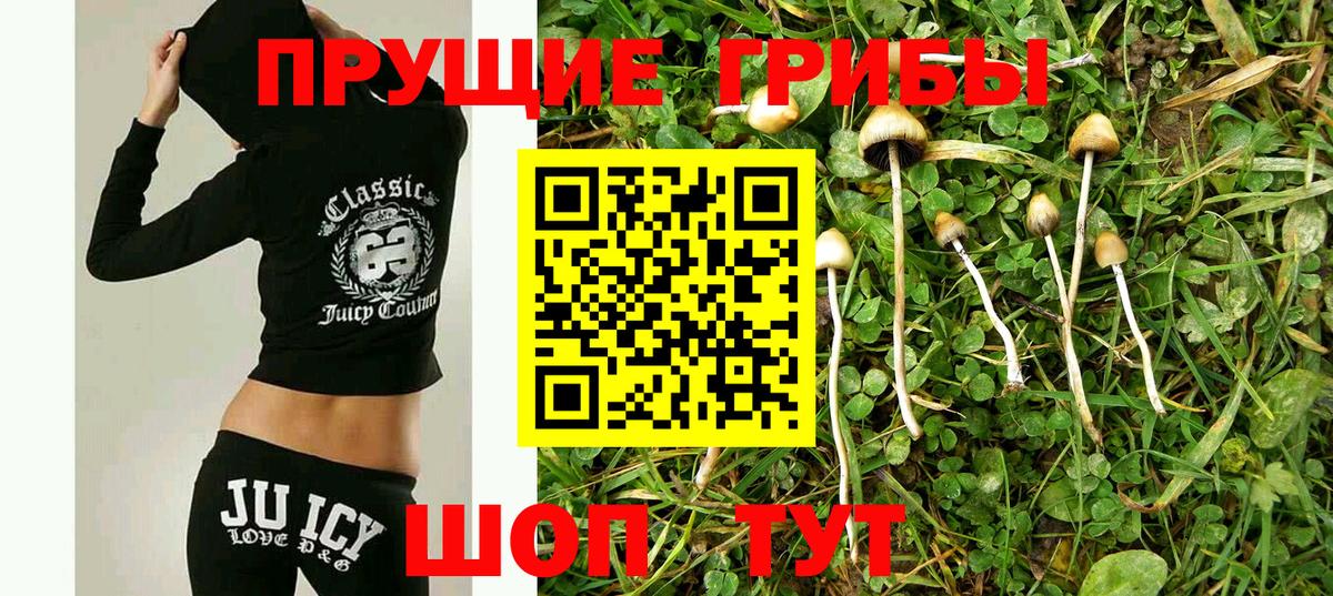 Галлюциногенные грибы мухоморы  Галлюциногенные грибы мицелий  Серпухов  Вход с VPN 